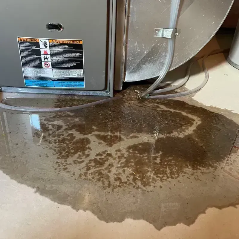 Appliance Leak Cleanup in Carmel, ME